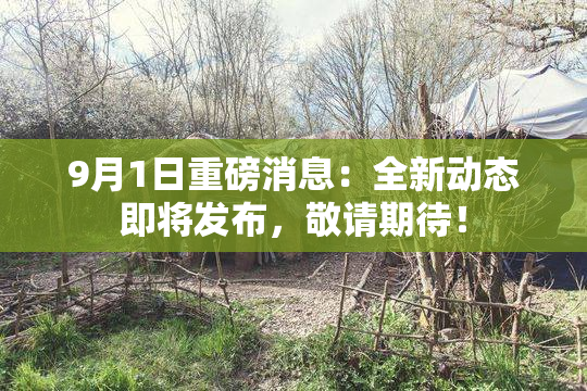 9月1日重磅消息：全新动态即将发布，敬请期待！