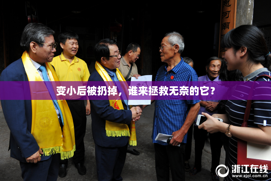 变小后被扔掉，谁来拯救无奈的它？