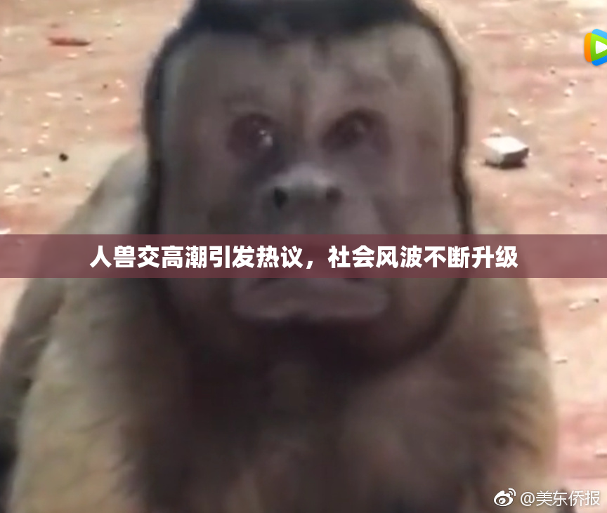 人兽交高潮引发热议，社会风波不断升级