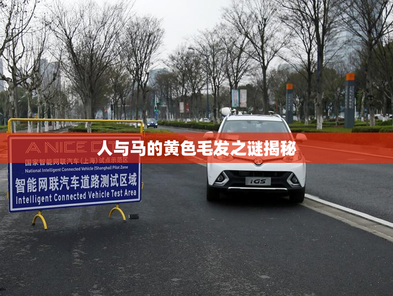 人与马的黄色毛发之谜揭秘