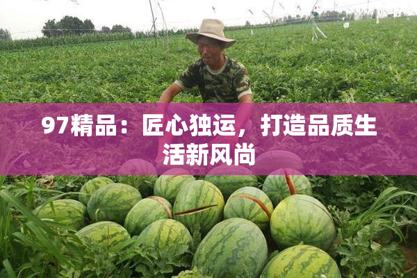 97精品：匠心独运，打造品质生活新风尚