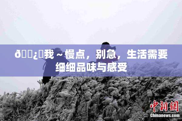 🌿‌我～慢点，别急，生活需要细细品味与感受