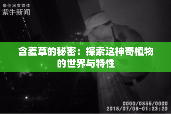 含羞草的秘密：探索这神奇植物的世界与特性