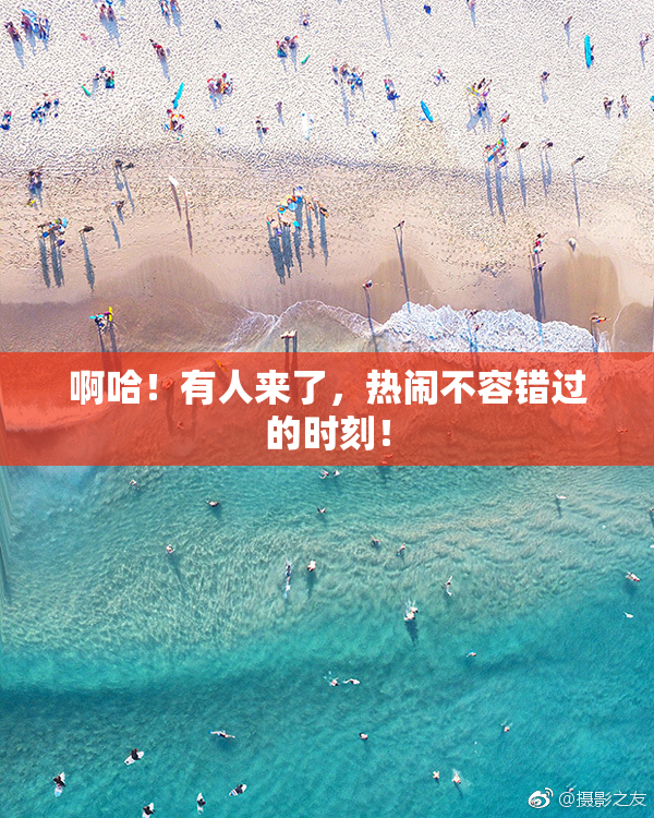 啊哈！有人来了，热闹不容错过的时刻！