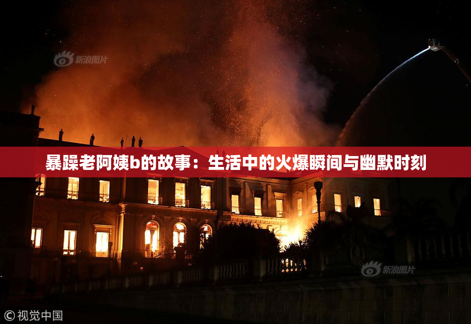 暴躁老阿姨b的故事：生活中的火爆瞬间与幽默时刻