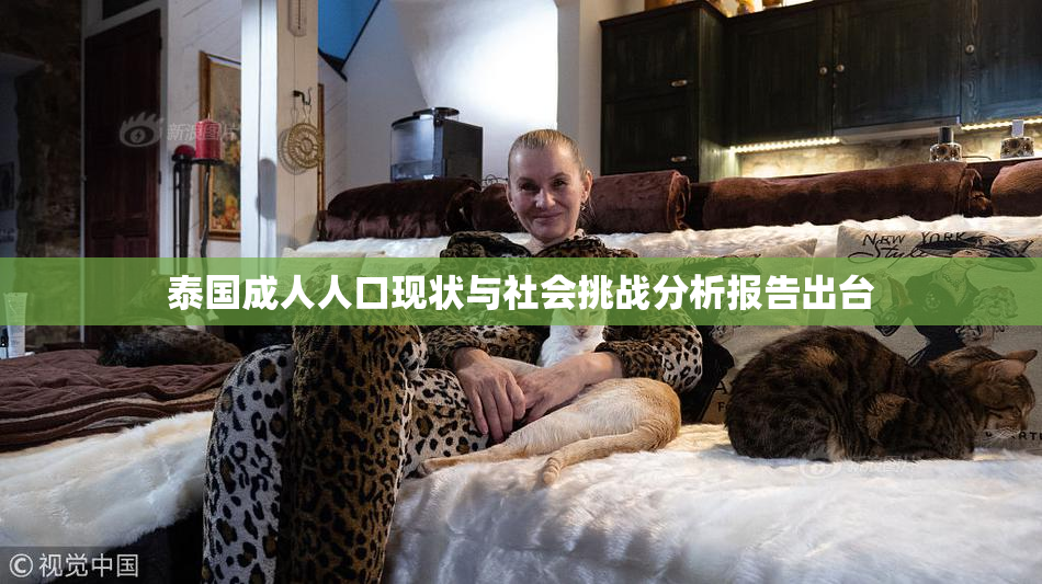 泰国成人人口现状与社会挑战分析报告出台