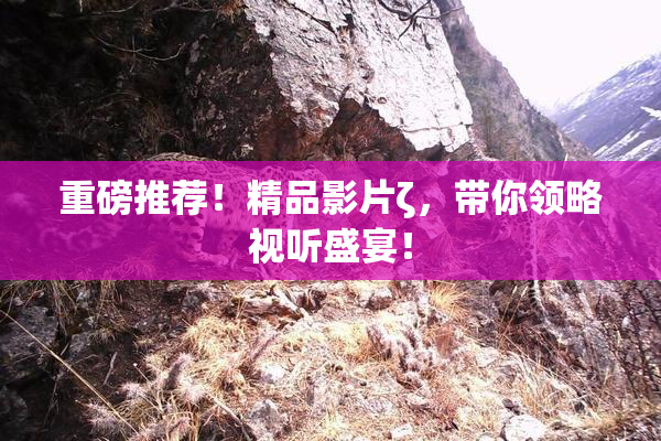 重磅推荐！精品影片ζ，带你领略视听盛宴！