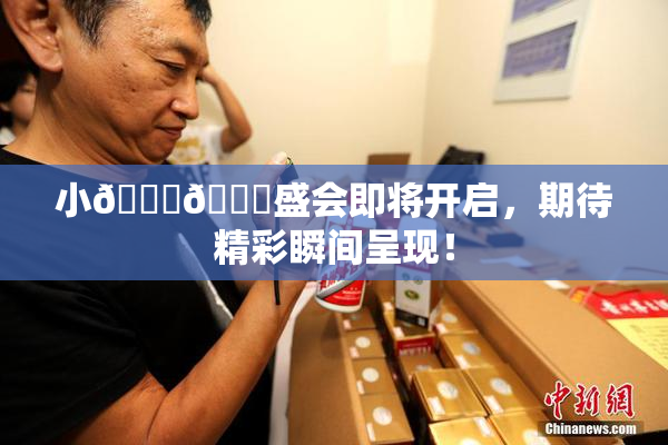 小🐔🐔盛会即将开启，期待精彩瞬间呈现！