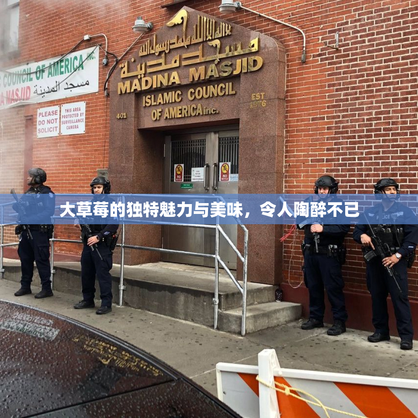 大草莓的独特魅力与美味，令人陶醉不已