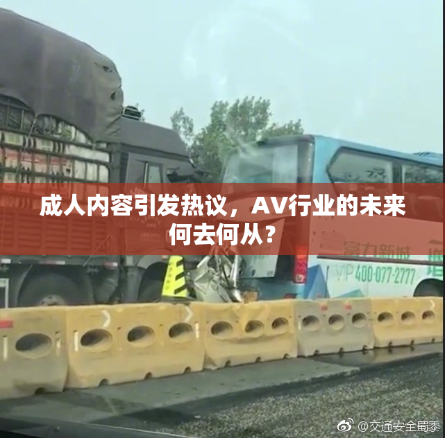 成人内容引发热议，AV行业的未来何去何从？