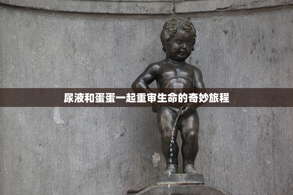 尿液和蛋蛋一起重审生命的奇妙旅程