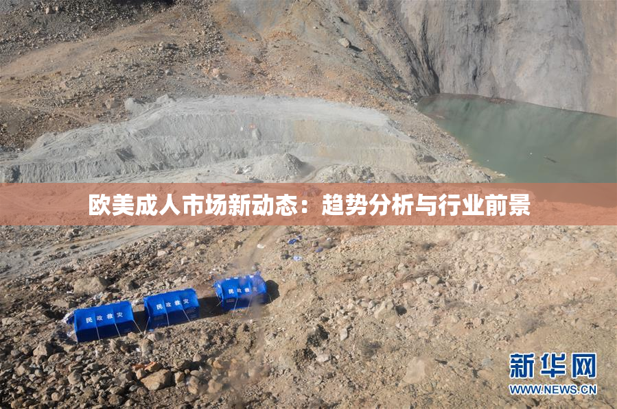 欧美成人市场新动态：趋势分析与行业前景