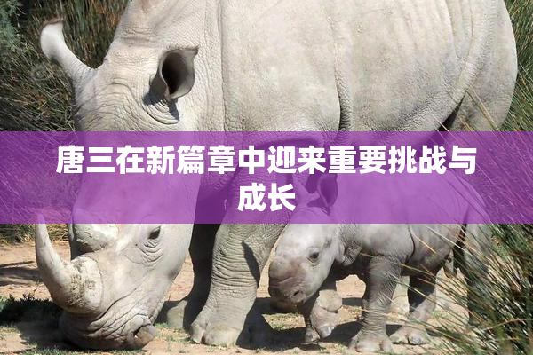 唐三在新篇章中迎来重要挑战与成长