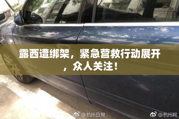 露西遭绑架，紧急营救行动展开，众人关注！