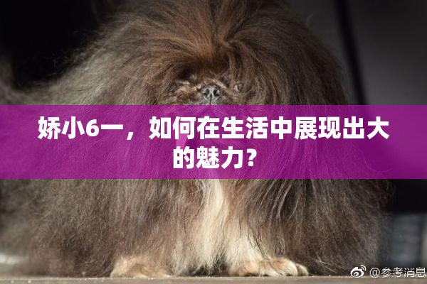 娇小6一，如何在生活中展现出大的魅力？