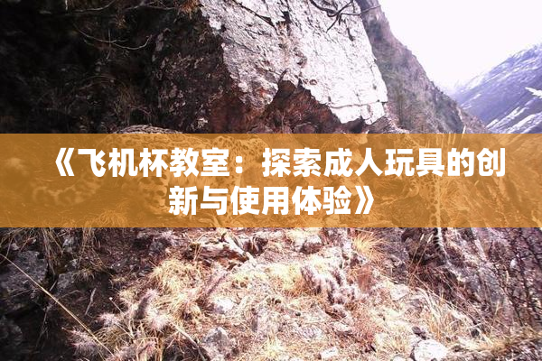 《飞机杯教室：探索成人玩具的创新与使用体验》