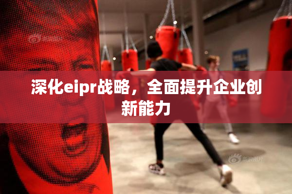 深化eipr战略，全面提升企业创新能力