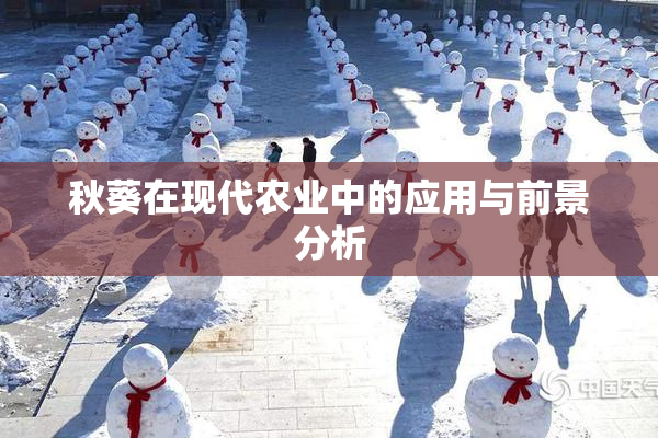 秋葵在现代农业中的应用与前景分析