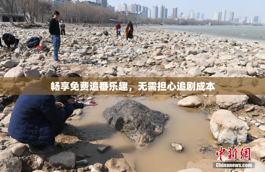 畅享免费追番乐趣，无需担心追剧成本