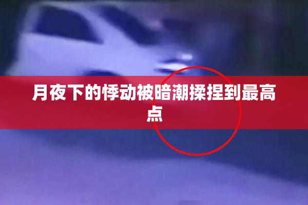 月夜下的悸动被暗潮揉捏到最高点