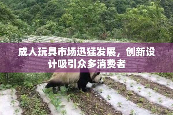 成人玩具市场迅猛发展，创新设计吸引众多消费者