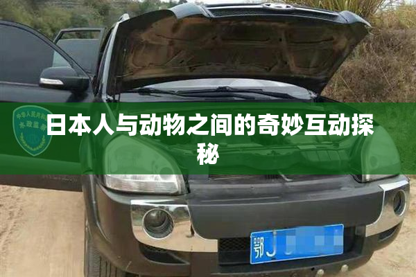 日本人与动物之间的奇妙互动探秘