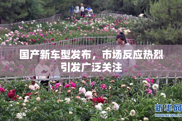 国产新车型发布，市场反应热烈引发广泛关注