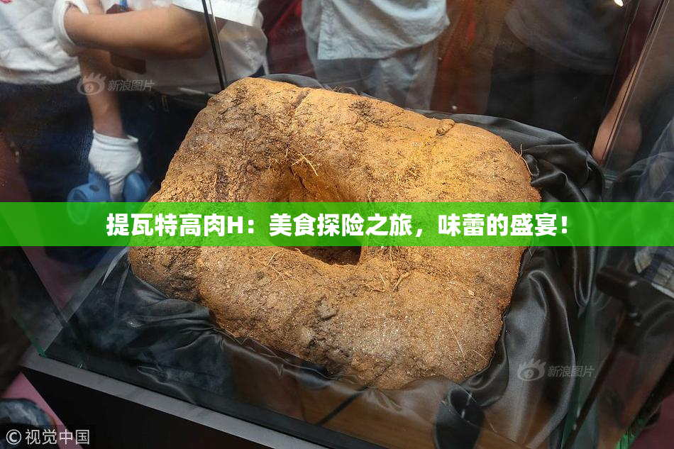 提瓦特高肉H：美食探险之旅，味蕾的盛宴！