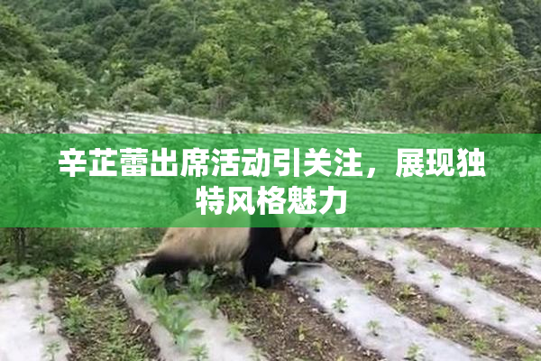 辛芷蕾出席活动引关注，展现独特风格魅力