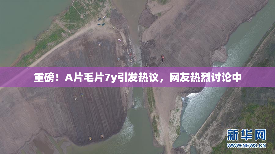 重磅！A片毛片7y引发热议，网友热烈讨论中