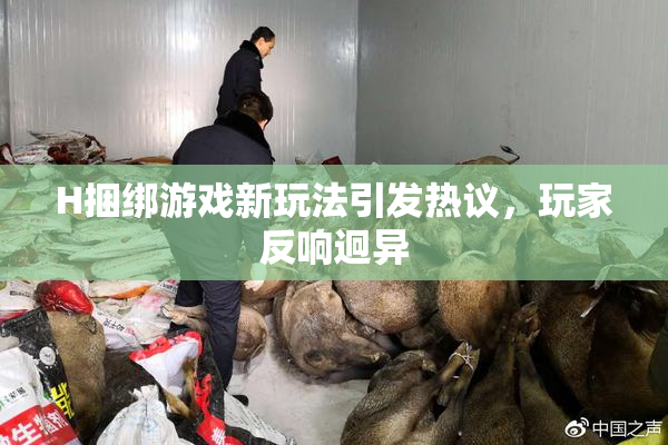 H捆绑游戏新玩法引发热议，玩家反响迥异