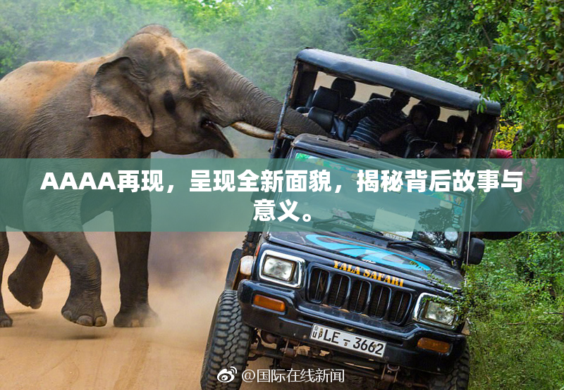 AAAA再现，呈现全新面貌，揭秘背后故事与意义。