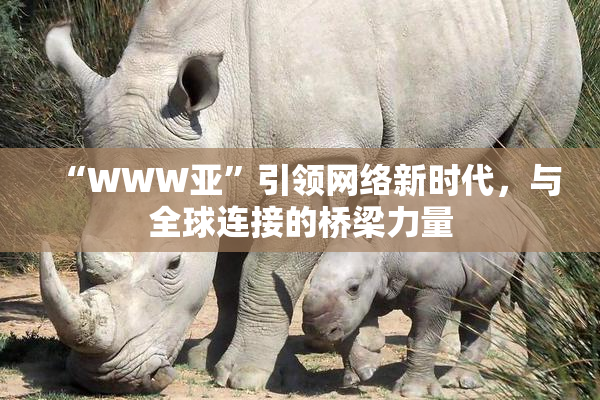 “WWW亚”引领网络新时代，与全球连接的桥梁力量