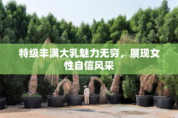 特级丰满大乳魅力无穷，展现女性自信风采