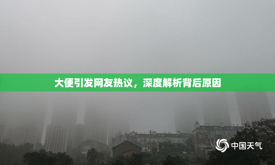 大便引发网友热议，深度解析背后原因