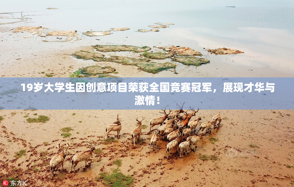 19岁大学生因创意项目荣获全国竞赛冠军，展现才华与激情！