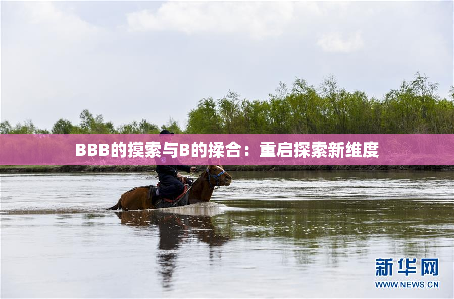 BBB的摸索与B的揉合：重启探索新维度