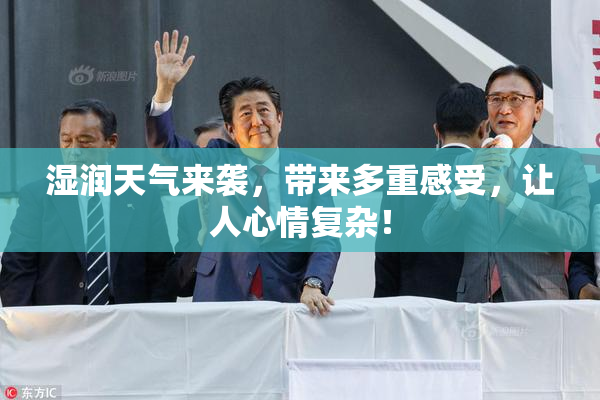 湿润天气来袭，带来多重感受，让人心情复杂！
