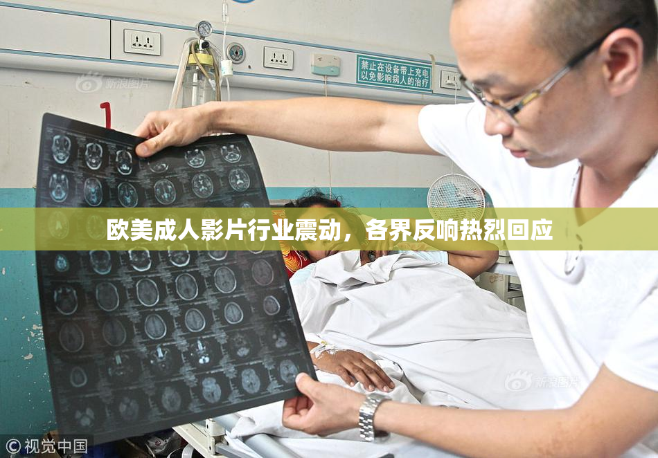 欧美成人影片行业震动，各界反响热烈回应