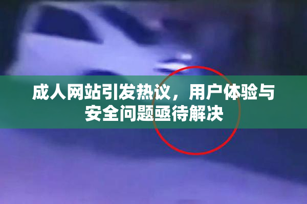 成人网站引发热议，用户体验与安全问题亟待解决