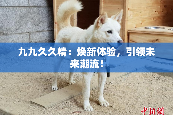 九九久久精：焕新体验，引领未来潮流！