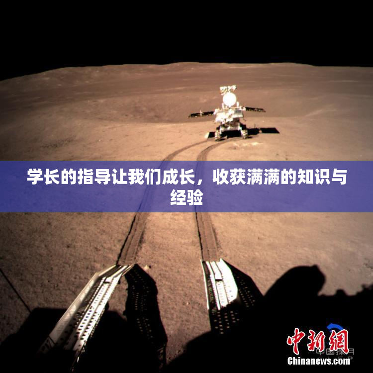学长的指导让我们成长，收获满满的知识与经验