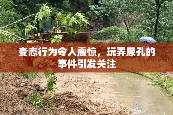 变态行为令人震惊，玩弄尿孔的事件引发关注