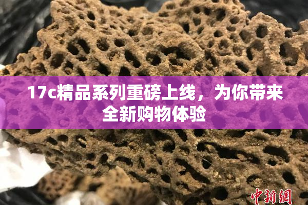 17c精品系列重磅上线，为你带来全新购物体验