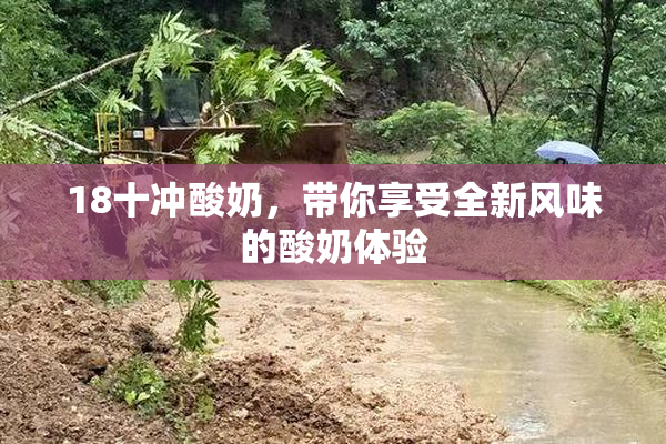 18十冲酸奶，带你享受全新风味的酸奶体验