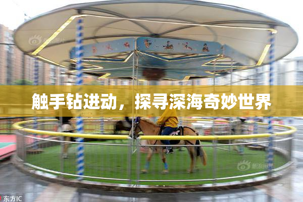 触手钻进动，探寻深海奇妙世界