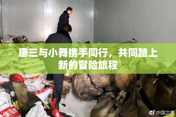 唐三与小舞携手同行，共同踏上新的冒险旅程