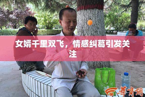 女婿千里双飞，情感纠葛引发关注