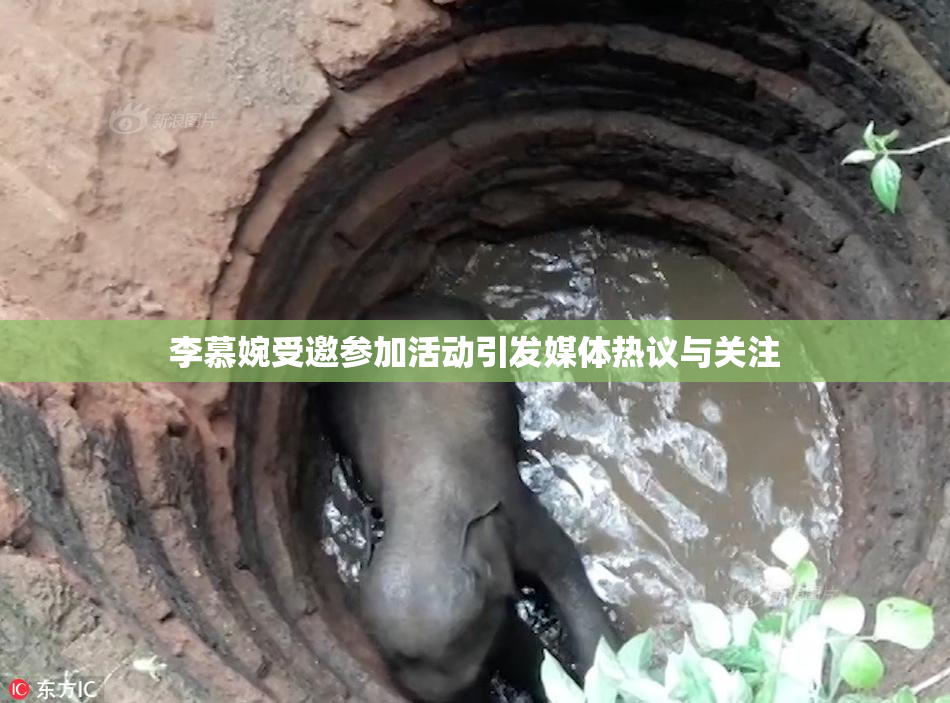 李慕婉受邀参加活动引发媒体热议与关注