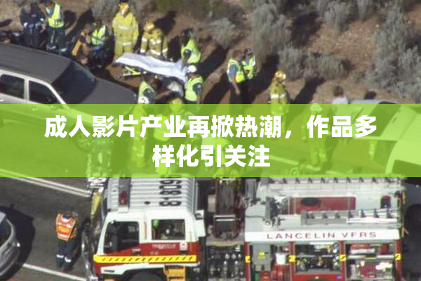 成人影片产业再掀热潮，作品多样化引关注